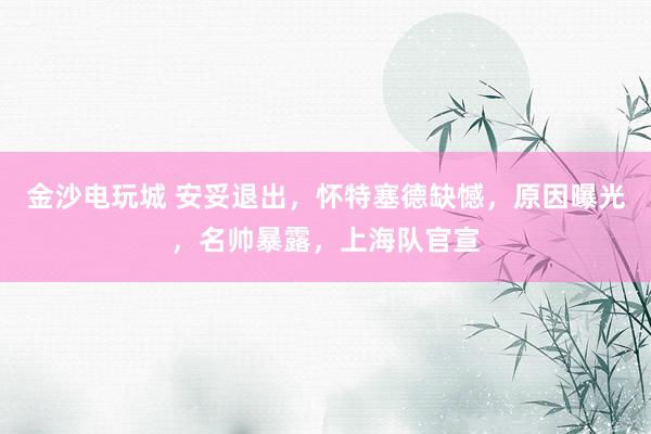金沙电玩城 安妥退出，怀特塞德缺憾，原因曝光，名帅暴露，上海队官宣