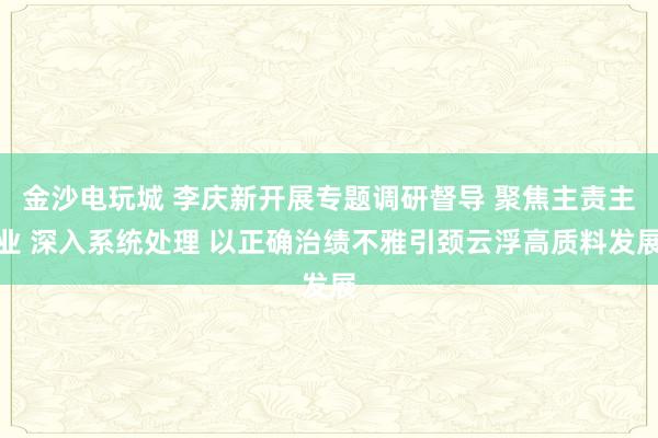 金沙电玩城 李庆新开展专题调研督导 聚焦主责主业 深入系统处理 以正确治绩不雅引颈云浮高质料发展