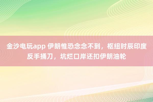金沙电玩app 伊朗惟恐念念不到，枢纽时辰印度反手捅刀，坑烂口岸还扣伊朗油轮