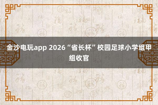 金沙电玩app 2026“省长杯”校园足球小学组甲组收官