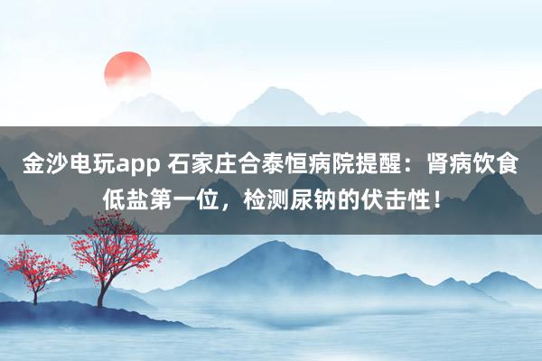 金沙电玩app 石家庄合泰恒病院提醒：肾病饮食低盐第一位，检测尿钠的伏击性！