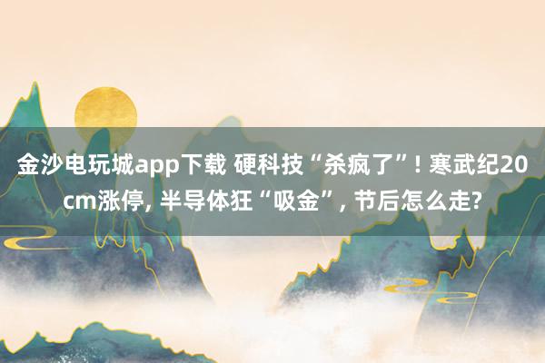 金沙电玩城app下载 硬科技“杀疯了”! 寒武纪20cm涨停， 半导体狂“吸金”， 节后怎么走?