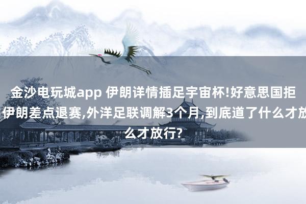 金沙电玩城app 伊朗详情插足宇宙杯!好意思国拒签、伊朗差点退赛，外洋足联调解3个月，<a href=
