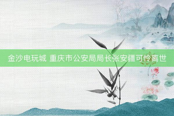 金沙电玩城 重庆市公安局局长张安疆可怜离世