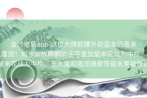 金沙电玩app 这位大牌前腰外助蓝本仍是来到山东泰山俱乐部跟队覆按！如今却放韩鹏鸽子平直加盟申花成为中枢，王大雷和宿茂臻都苦留未果被辟谣弗成信